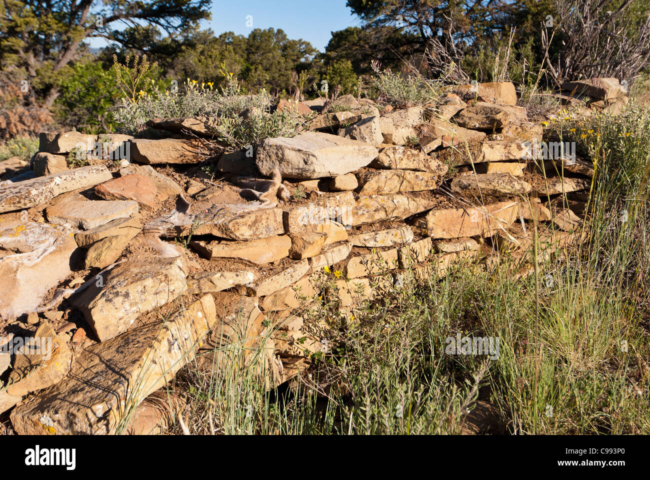 Unexcavated pit house ruin below the upper parking lot, Chimney Rock Archaeological Area, Pagosa Springs, Colorado. Stock Photo