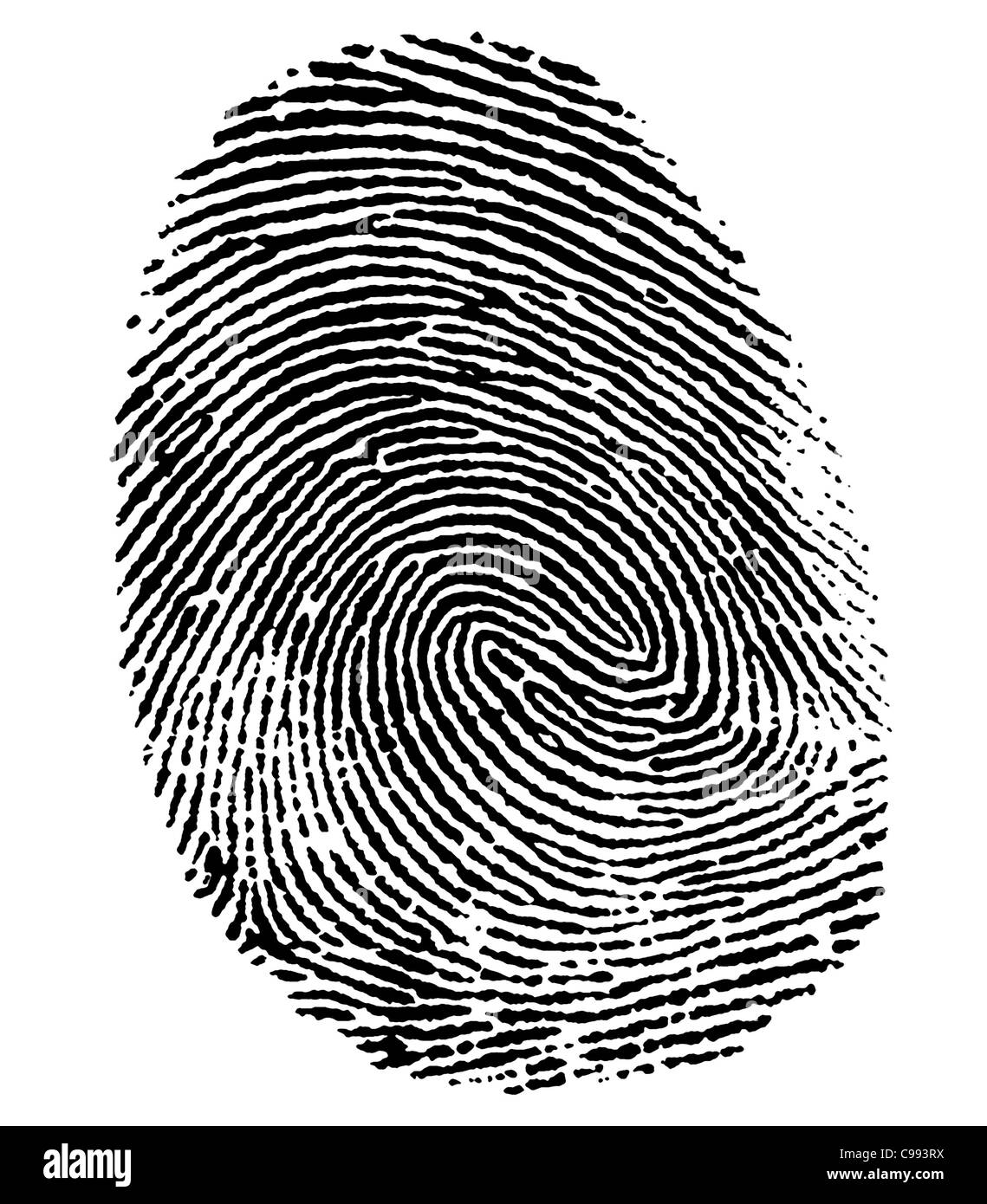 a black thumb fingerprint in white back Stock Photo