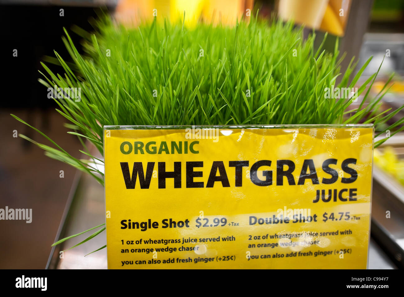Organic Wheatgrass at a juice bar. Stock Photo