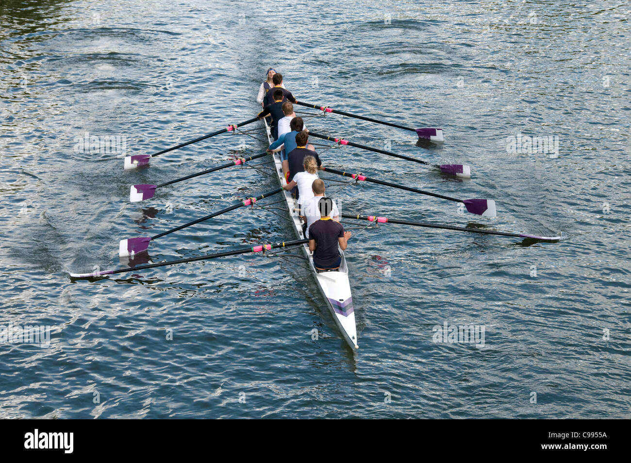 A rowing eight on the Thames at Oxford Stock Photo Alamy