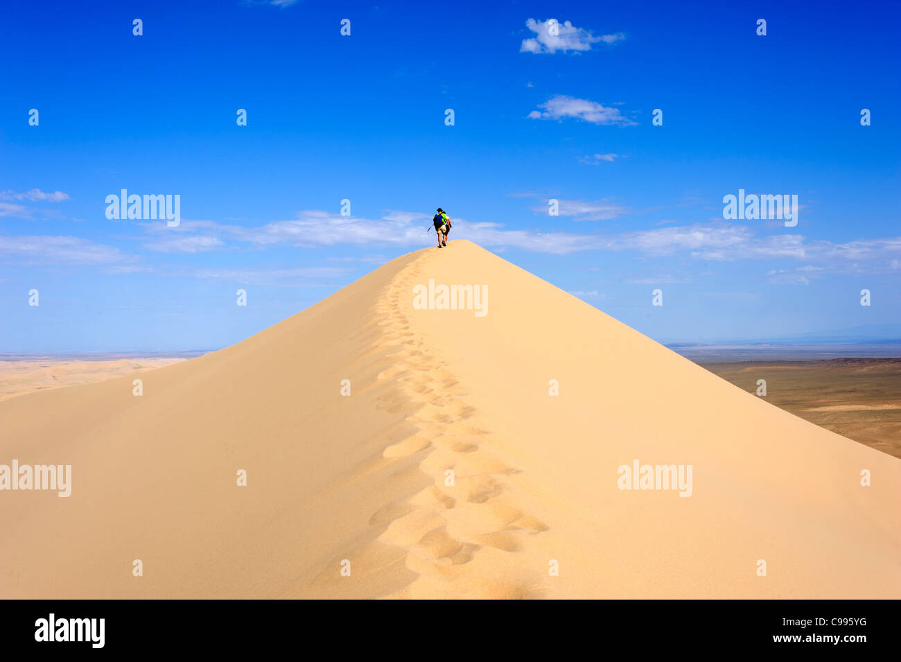 Khongoryn Sand Area (Khongoryn Els) In Gobi Desert, Mongolia Stock ...