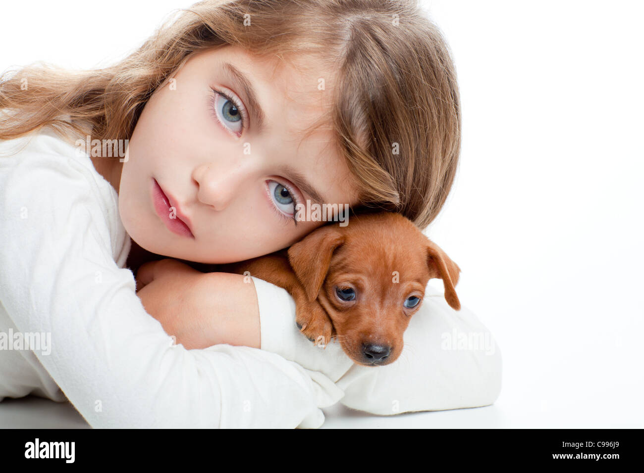 brunette kid girl with mini pinscher pet mascot dog on white background ...