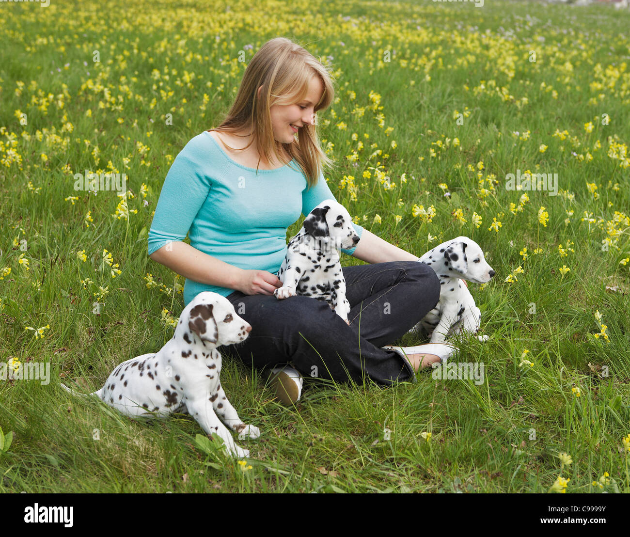 young woman Dalmatian dog puppies meadow Stock Photo