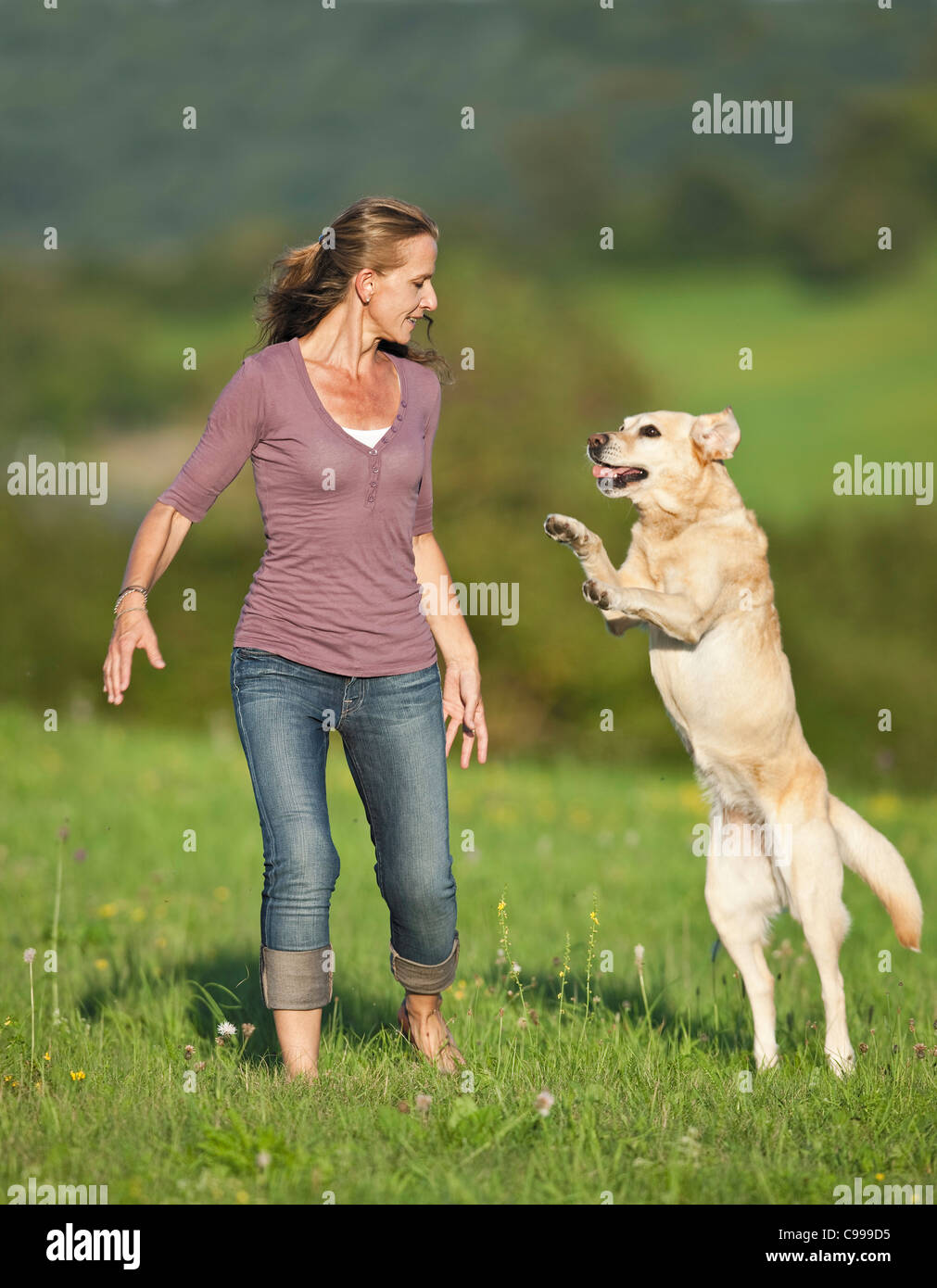 woman and Labrador Retriever Stock Photo