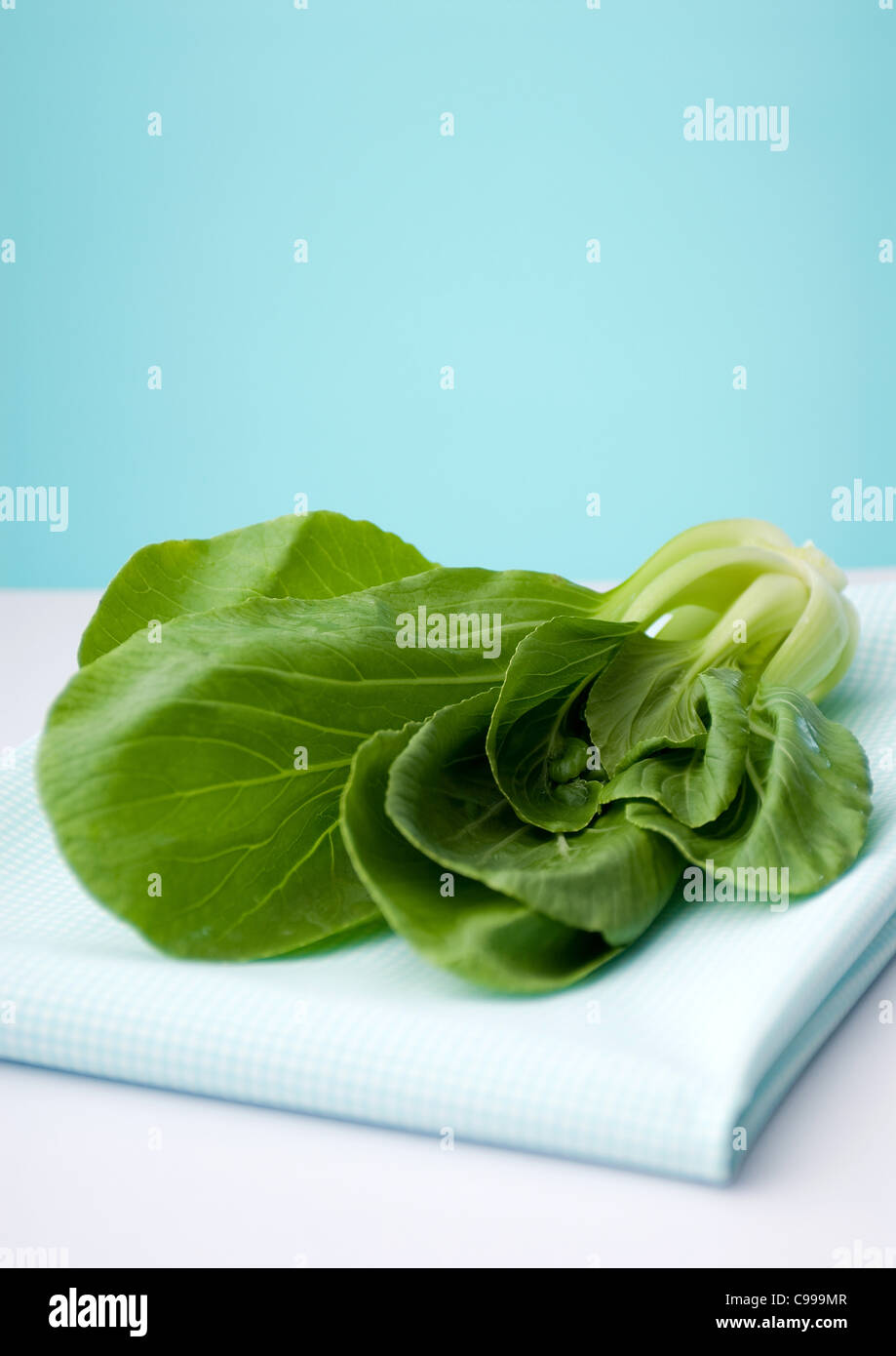Bok choy (Brassica rapa - Chinese cabbage) Stock Photo