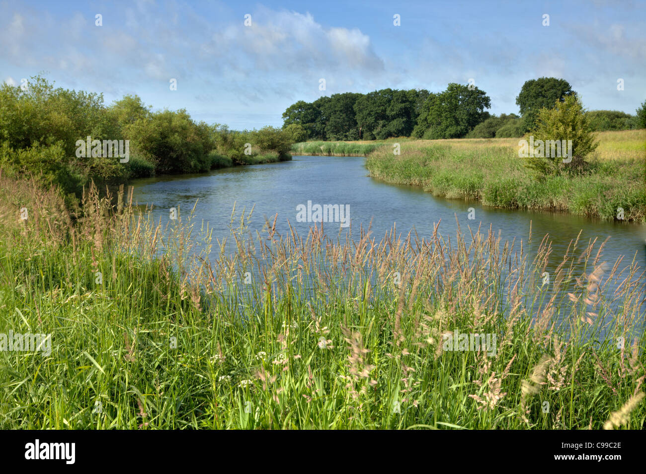 River Arun, near Pulborough, West Sussex Stock Photo