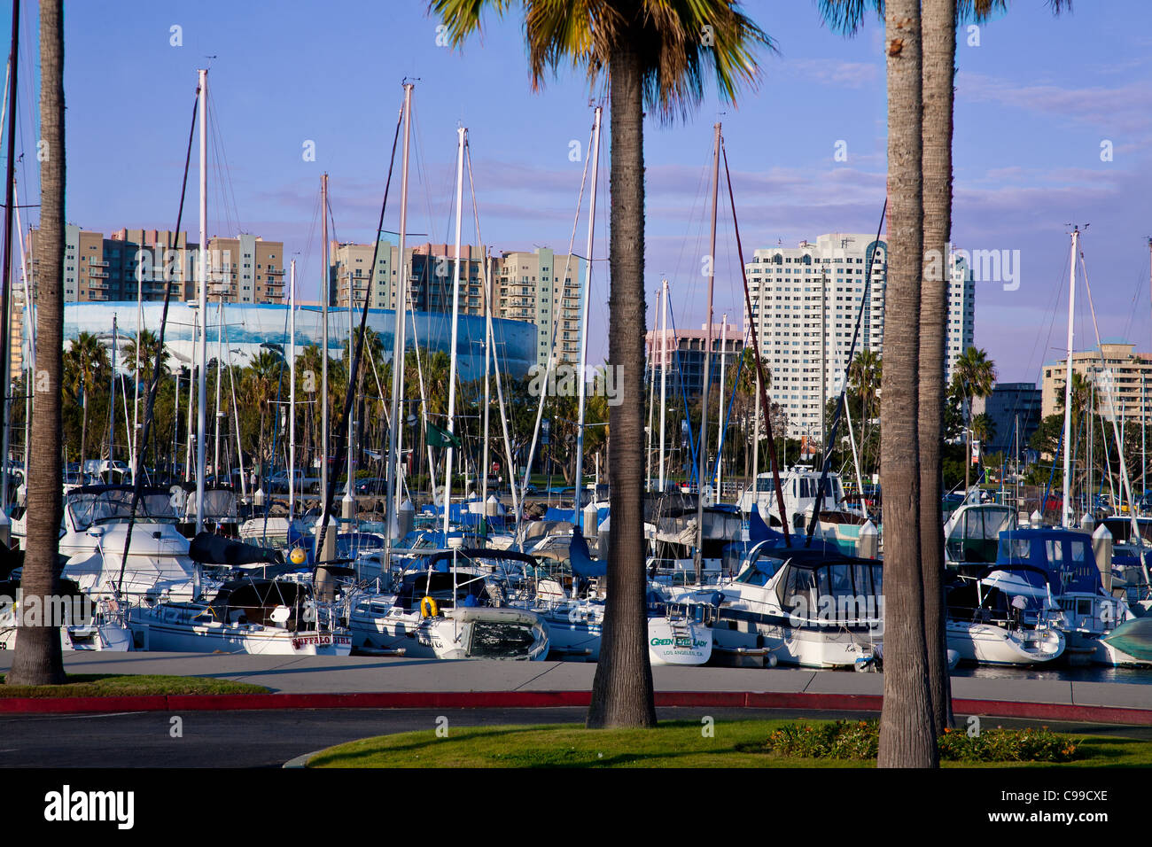 yachts in Long Beach, California harbor Stock Photo