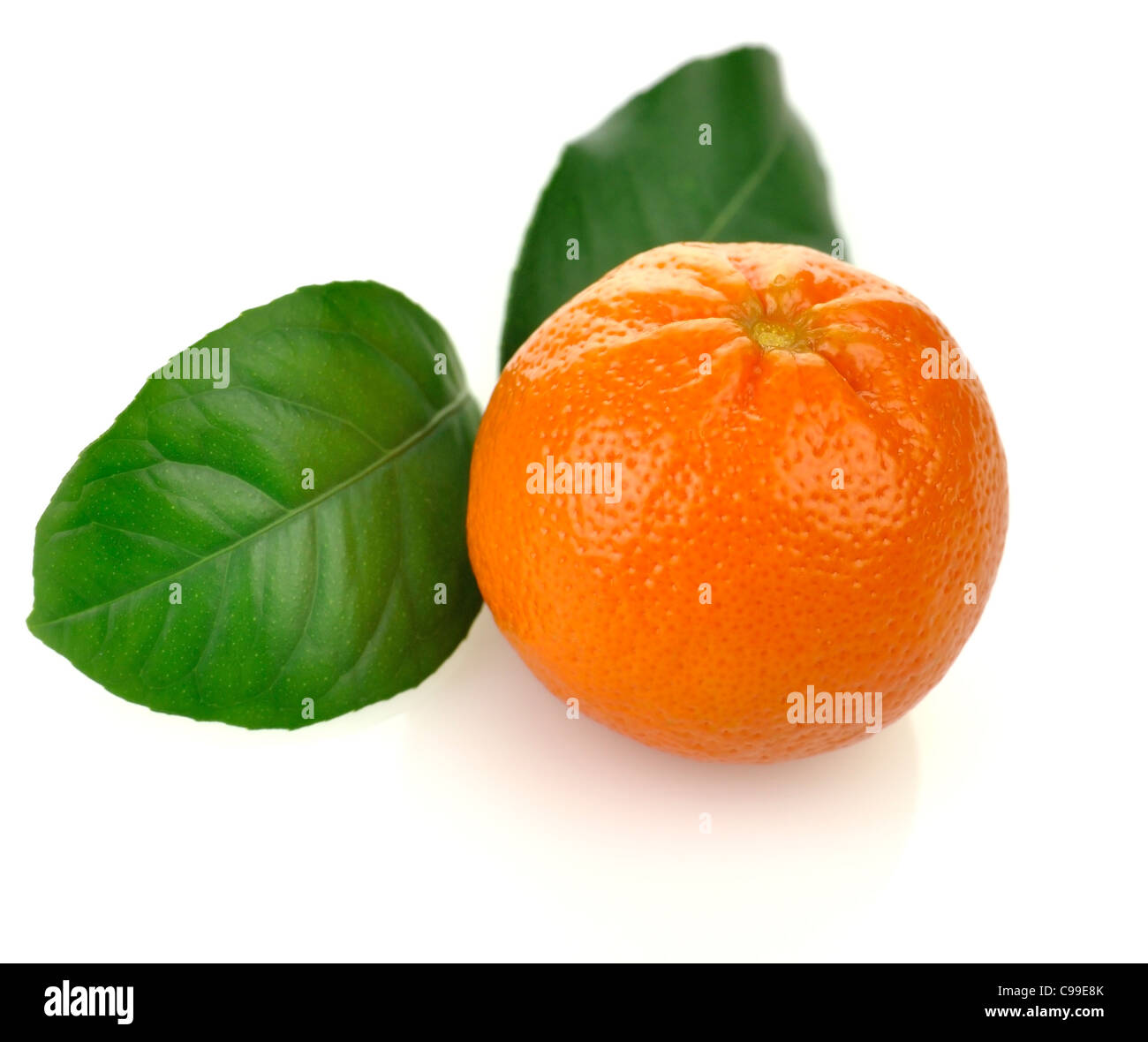 orange-fruit-with-green-leaves-close-up-stock-photo-alamy