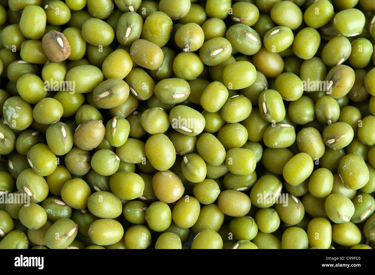 Whole dried mung beans. This type of bean is often sprouted to make bean sprouts Stock Photo Alamy
