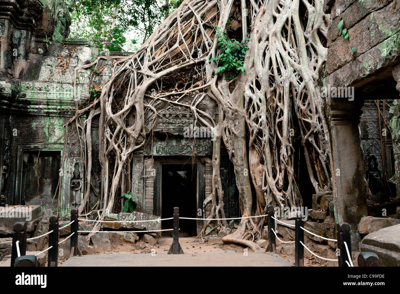 Ta Prohm is an ancient temple in Angkor Wat, Cambodia. Overgrown trees nearly damaged the ruined temple. Stock Photo