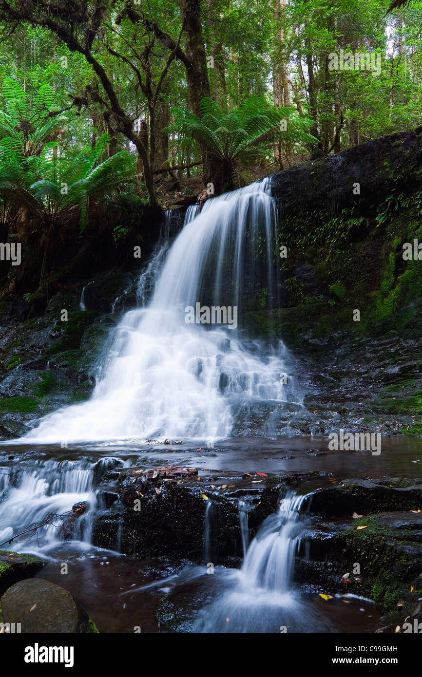 Horseshoe Falls in Mount Field National Park, Tasmania, Australia Stock