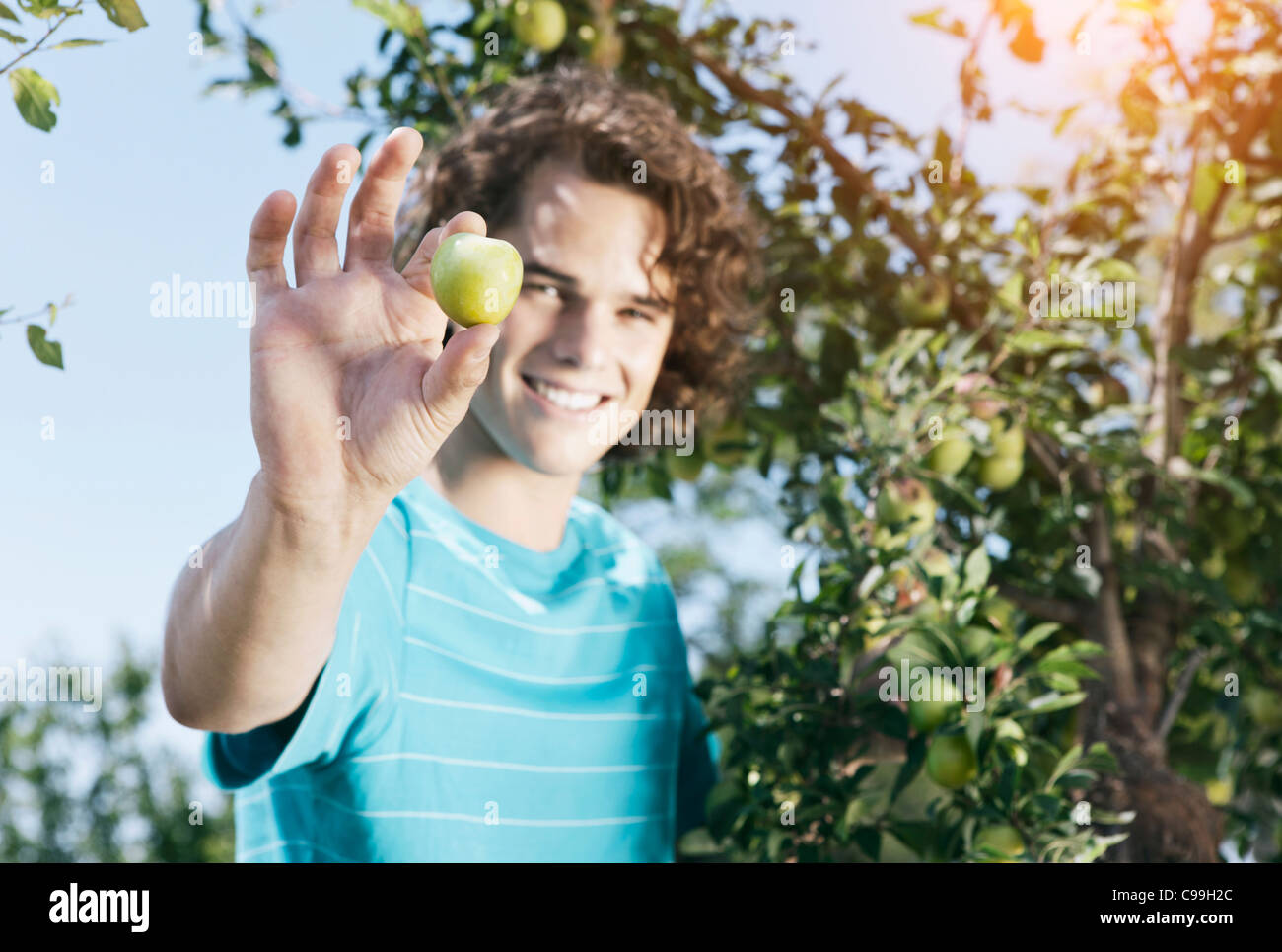 Italy, Tuscany, Magliano, Young man holding green olive, smiling, portrait Stock Photo