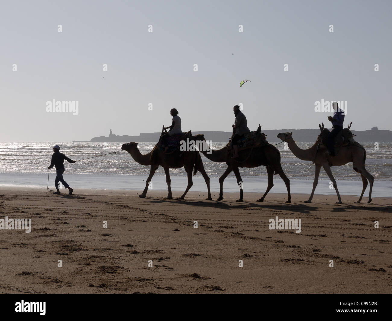 Caravan with camels , tourists and a Tuareg guide in Essaouira,Morocco Stock Photo