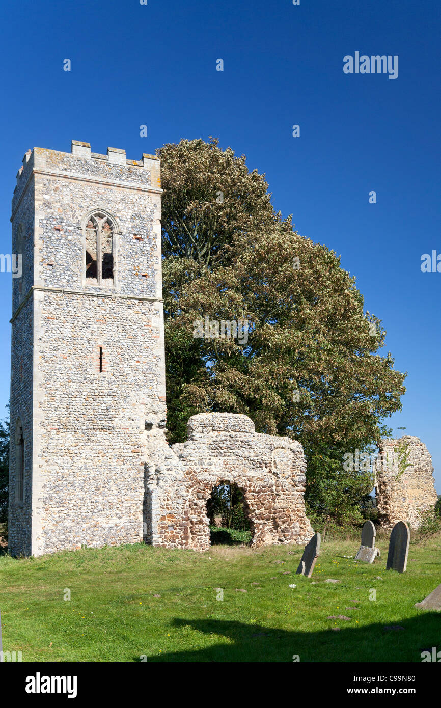 Ruins of St Mary's Church, Burgh Parva, Melton Constable, Norfolk Stock