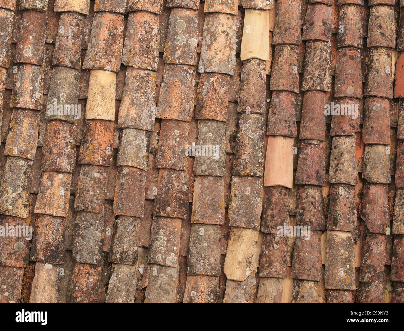 weathered roofing tiles Stock Photo