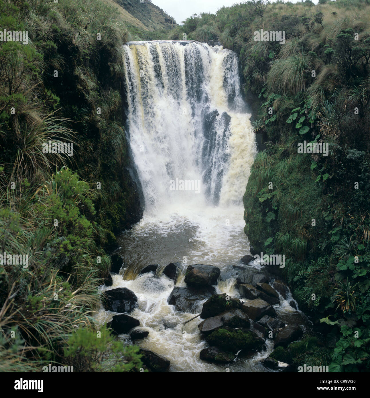 Waterfall in the High Andes, Colombia, brown with tannins from the mountain vegetation Stock Photo