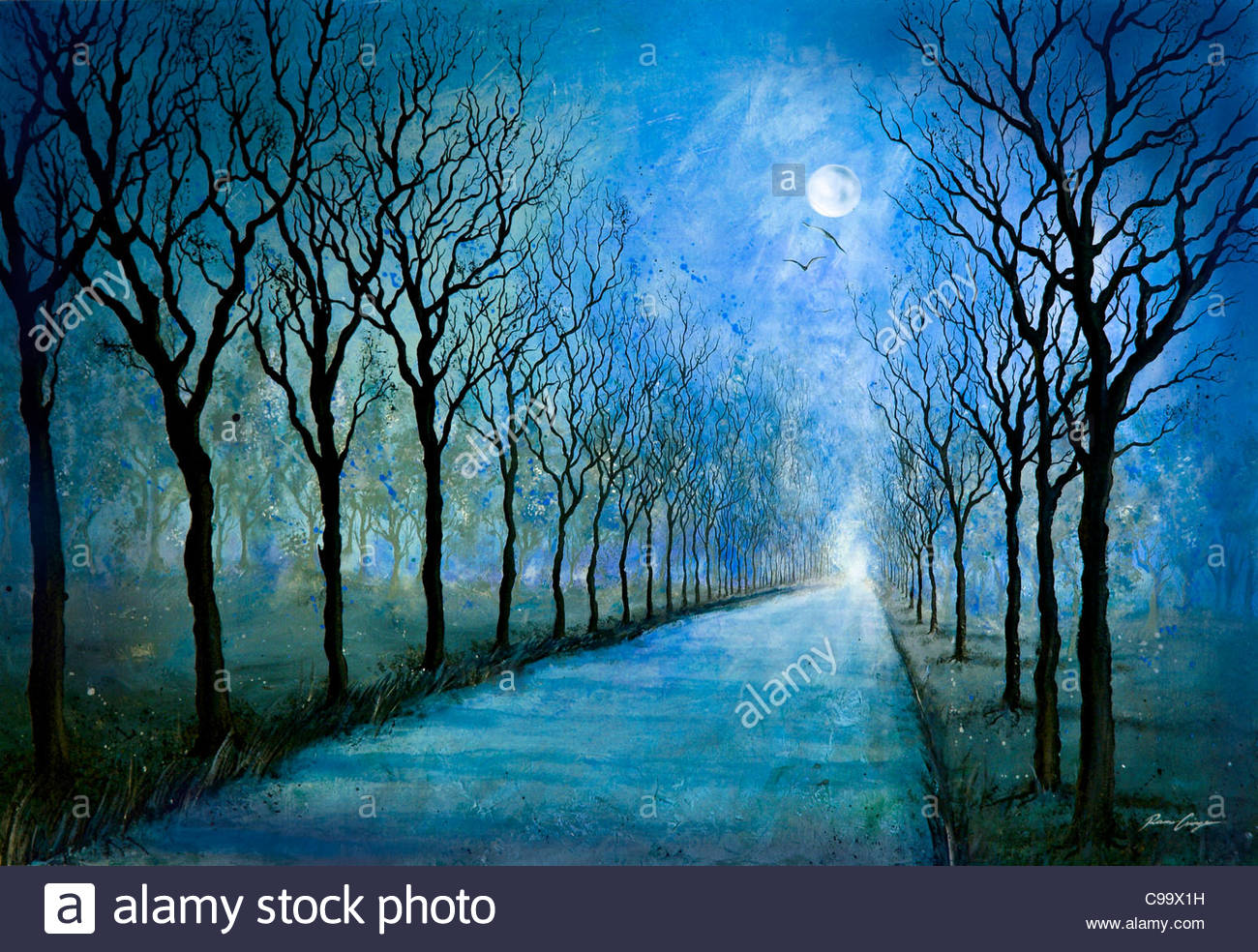 Night way WAy Street night moonlight full moon Allee baume ride Stock