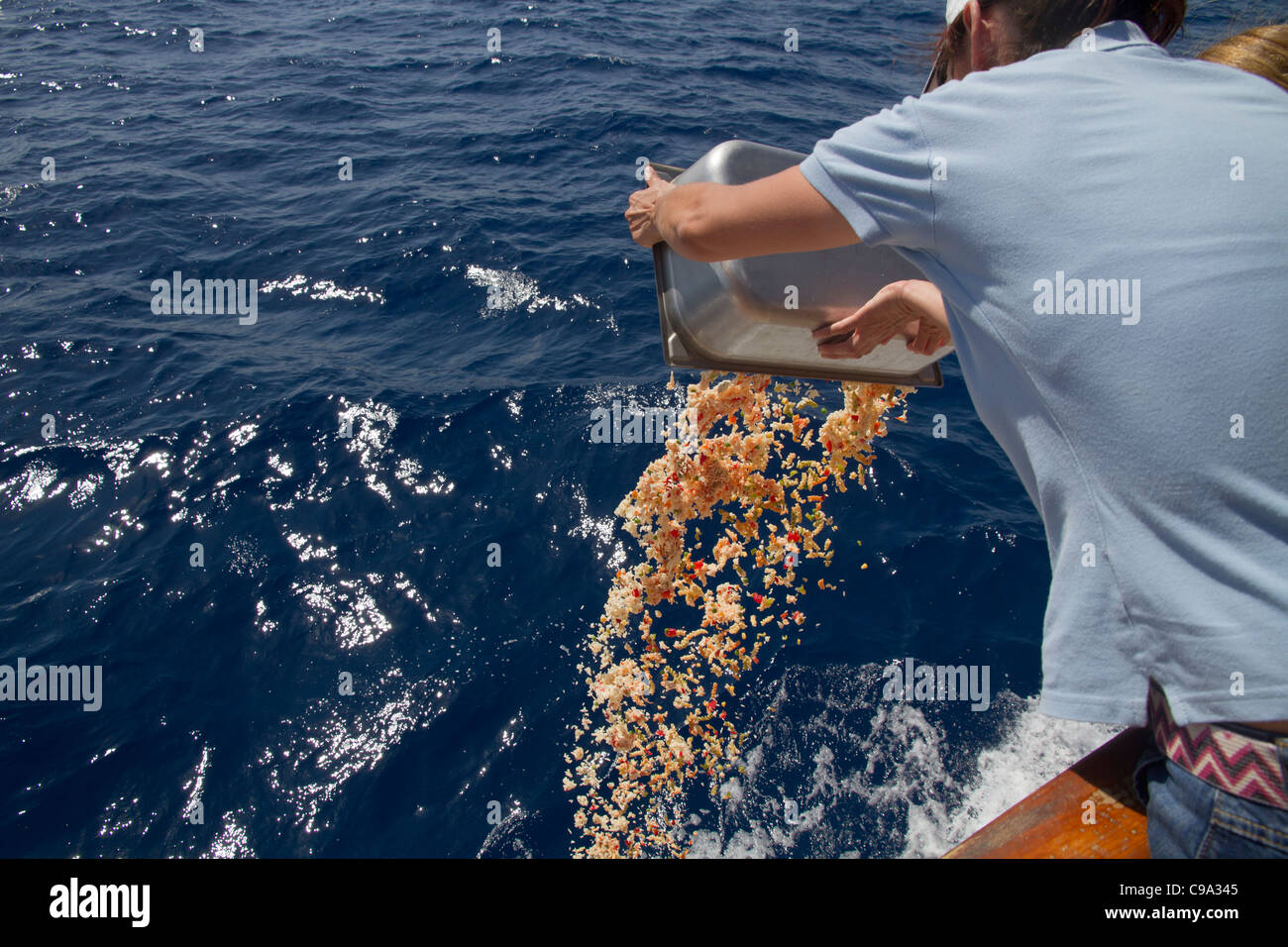 Person throw food scraps into the sea from deck of boat Stock Photo