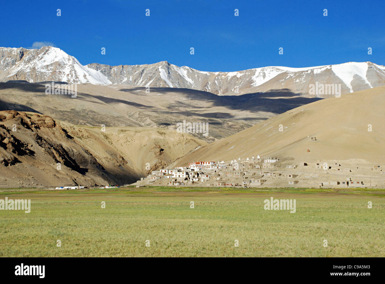 Beautiful composition of houses of Korzok community people against snow clad Himalayan mountains, living around the lake Tsomori Stock Photo