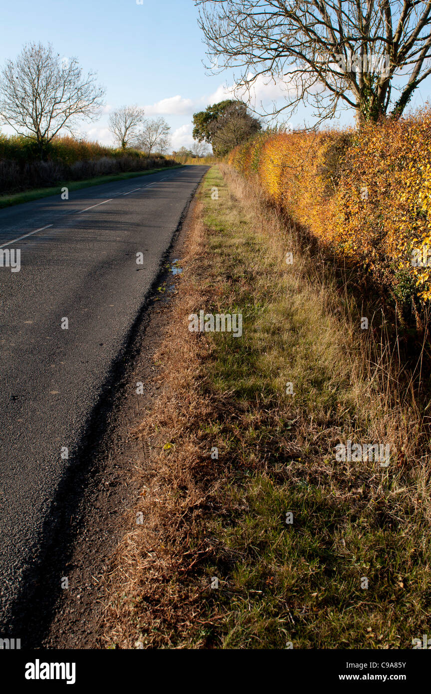 Grass verge uk hi-res stock photography and images - Alamy
