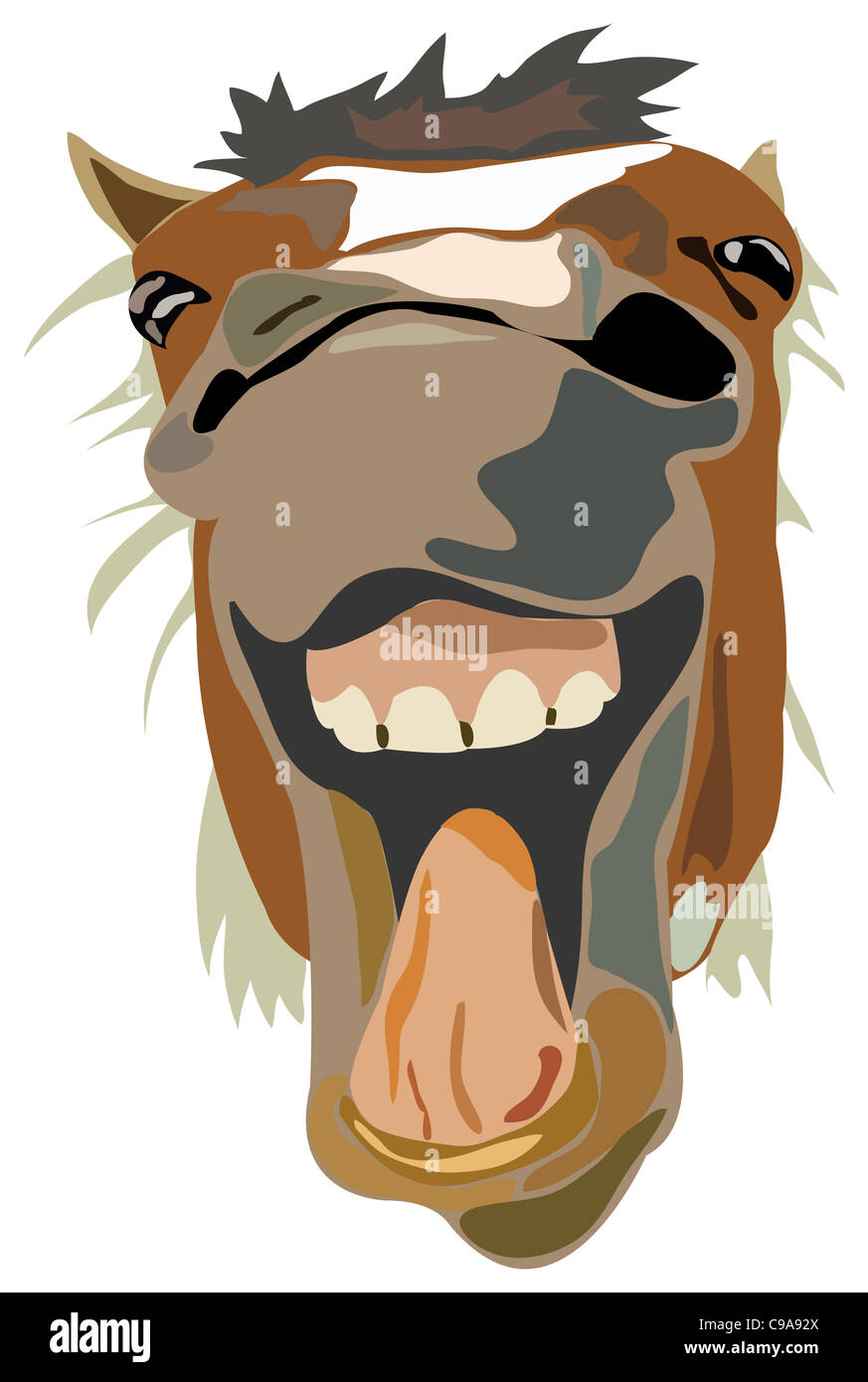 Vector Illustration of the laughing horse isolated Stock Photo