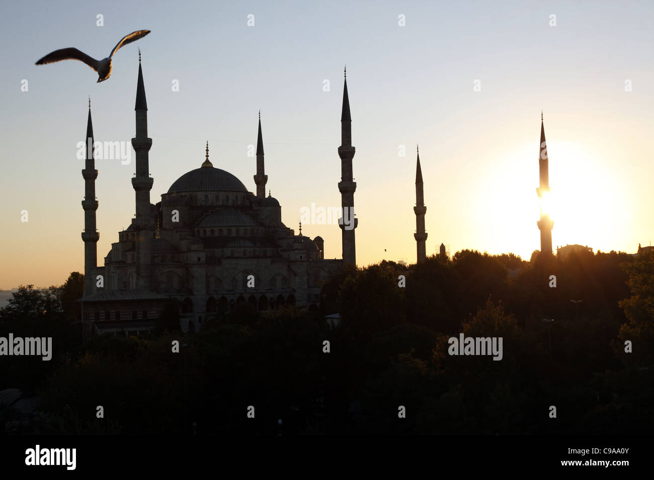 SEAGULL & SUNSET BLUE MOSQUE SULTAN AHMET CAMII SULTANAHMET ISTANBUL ...