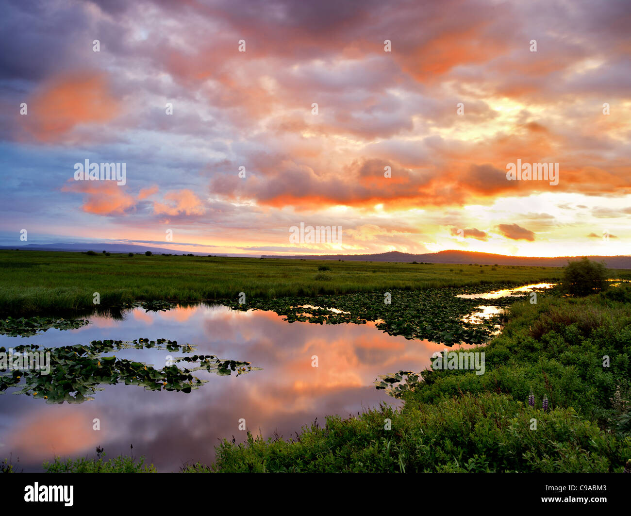 Sunrise at Klamath Marsh National Wildlife Refuge, Oregon Stock Photo