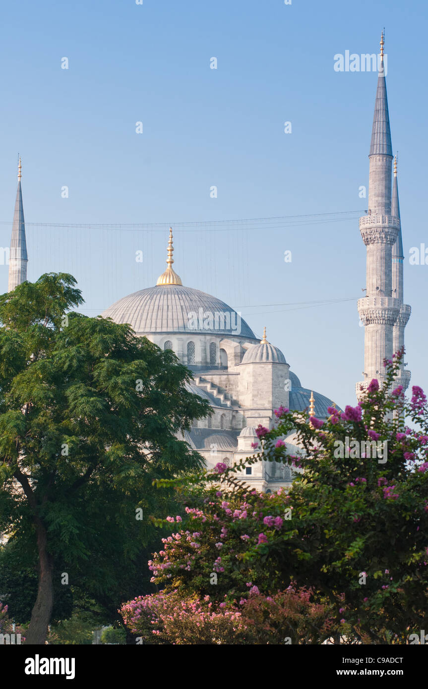 Blue Mosque, Sultanahmet, Istanbul, Turkey. Stock Photo