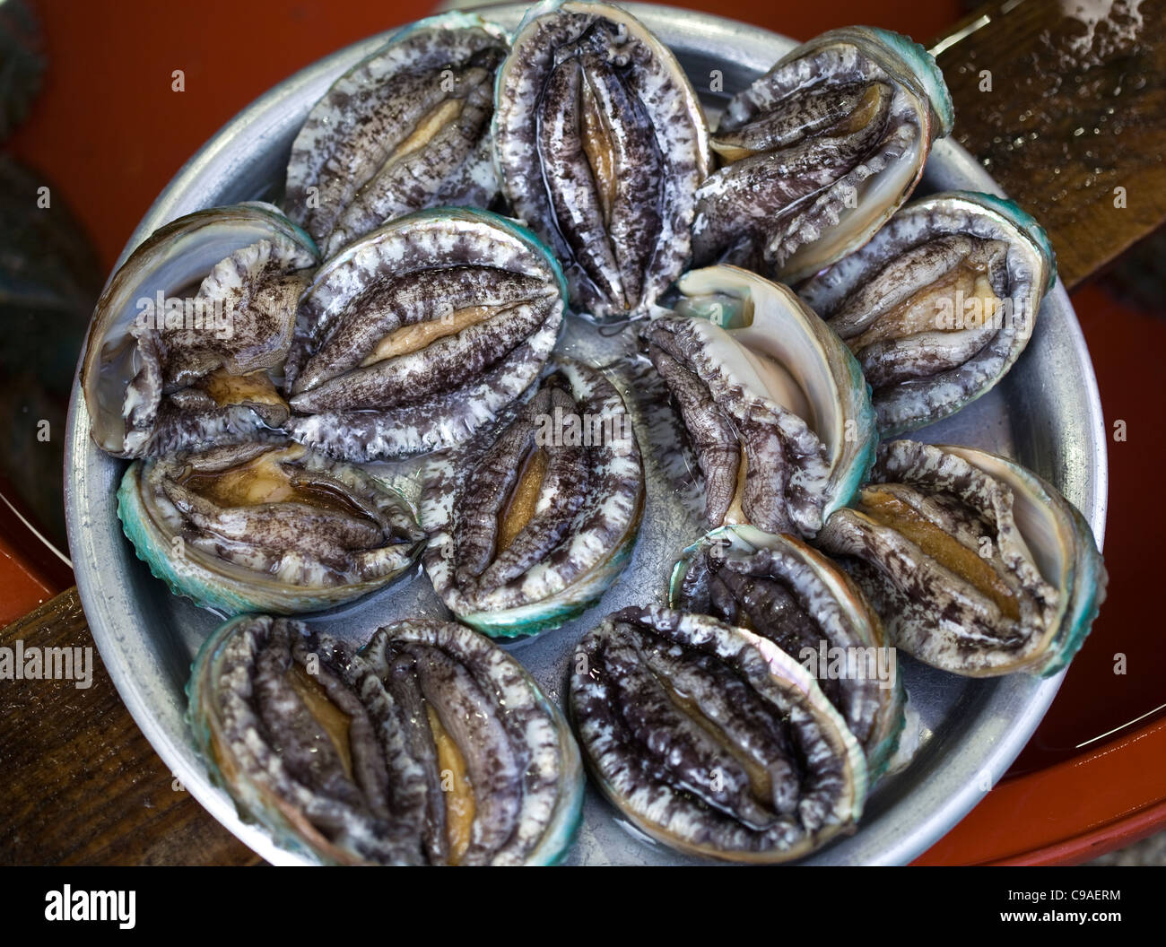 Abalone on sale at Jagalchi Fish Market Busan South Korea Stock Photo