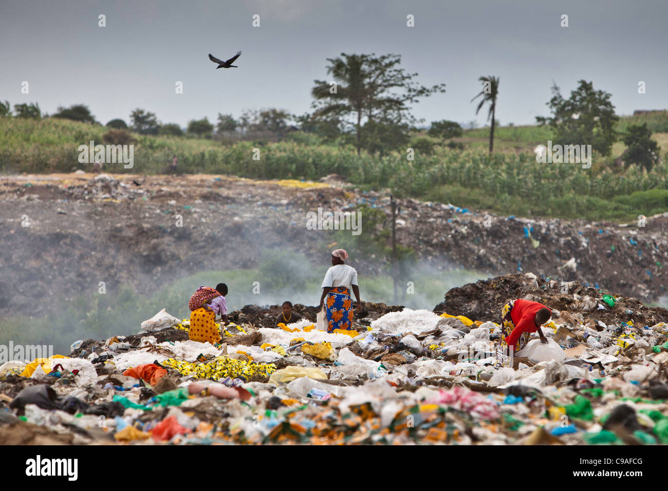 One of the main rubbish dump sites for Mombasa, Kenya. Many children can be found collecting metals and plastic. Stock Photo