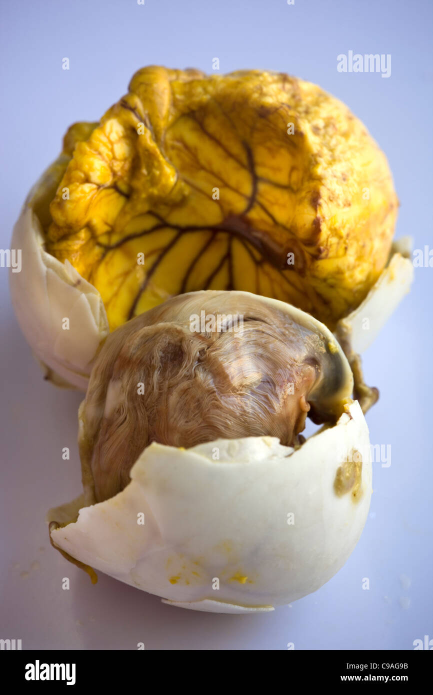 Balut Egg - an Asian street food delicacy - An example of the strange or weird food eaten by people around the world Stock Photo