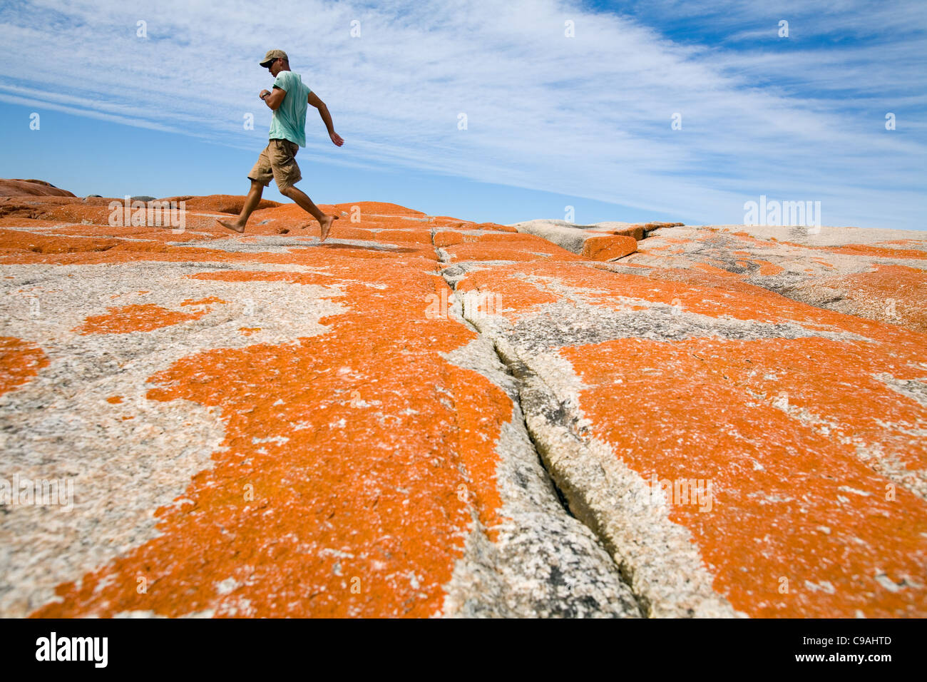 Man walking across the orange-lichen rocks of the Bay of Fires.  St Helens, Tasmania, Australia Stock Photo