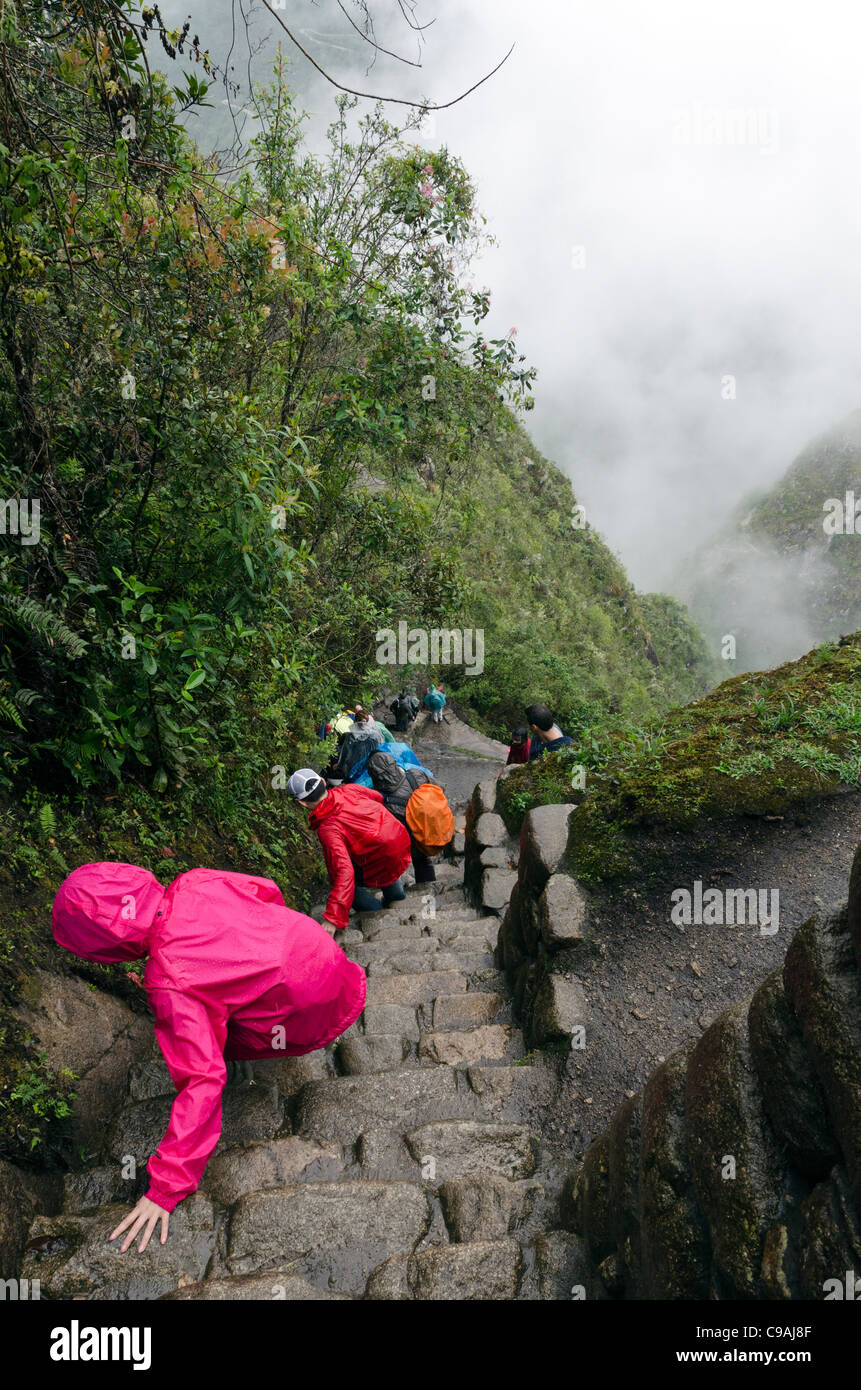 People going down Inca steps at Wayna Picchu Machu Picchu Cusco region Peru Stock Photo