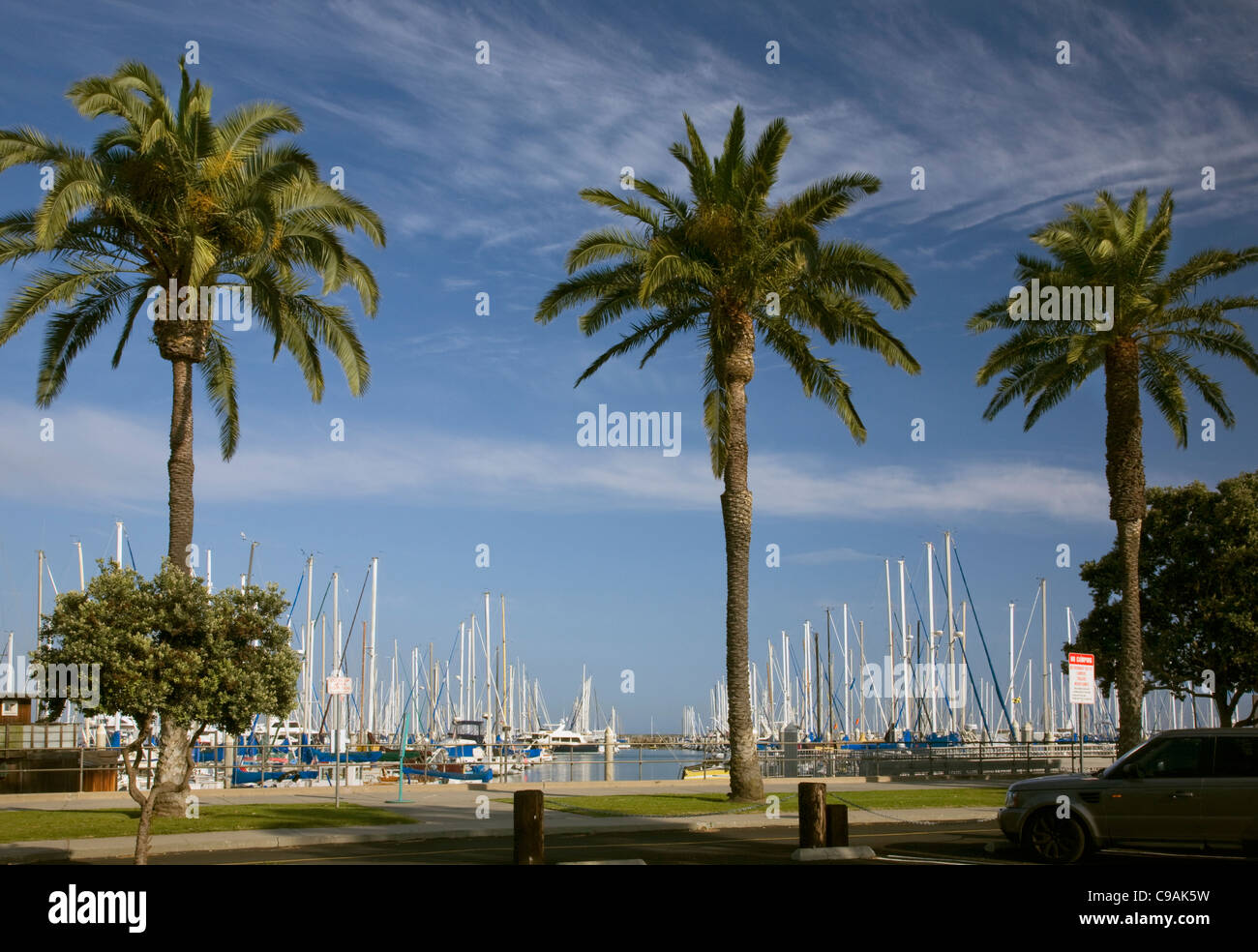 CALIFORNIA - Palm trees along the edge of the marina in the Santa Barbara Harbor. Stock Photo