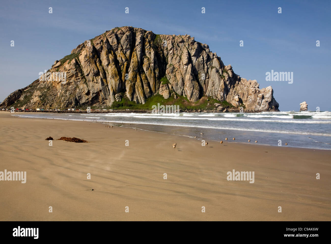 CALIFORNIA Estero Bay and Morro Rock Stock Photo Alamy
