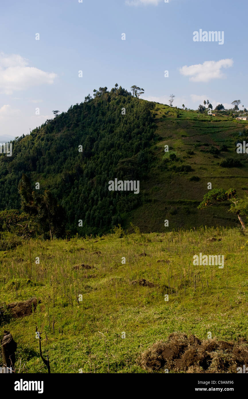 Deforested hills running right up to the Gishwati forest in Rwanda.  Population stresses have shrunk the forest dramatically. Stock Photo