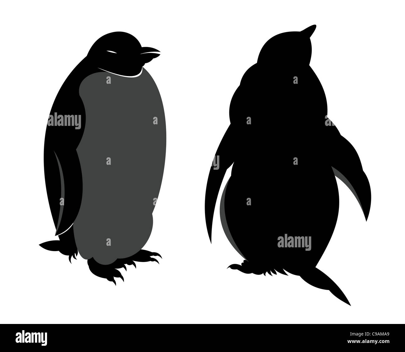 Two penguins. Face and rear views. Illustration. Stock Photo