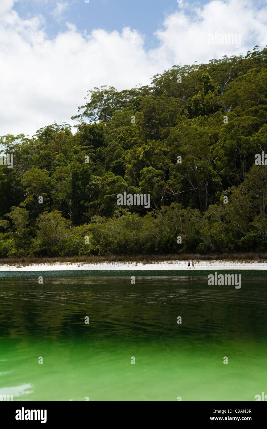 The emerald waters of Basin Lake, one of Fraser Island's many