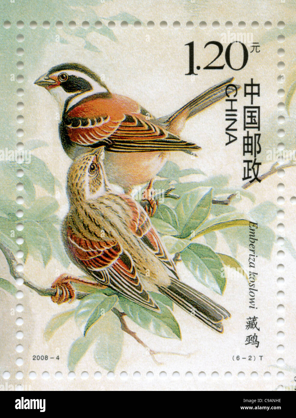 China postage stamp - The Tibetan Bunting - Emberiza koslowi Stock Photo