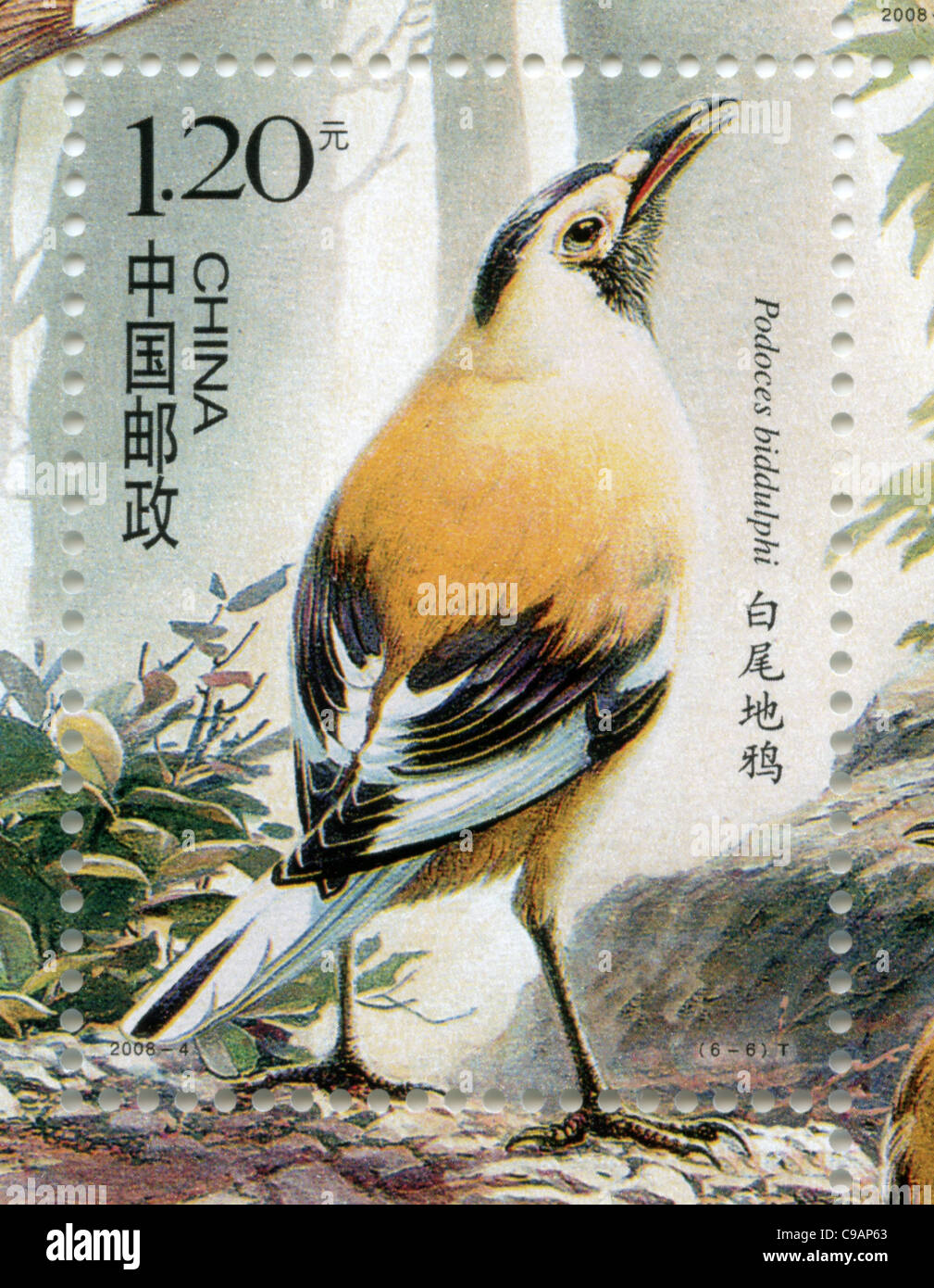 China postage stamp Xinjiang Groundjay or Biddulph's Ground Jay