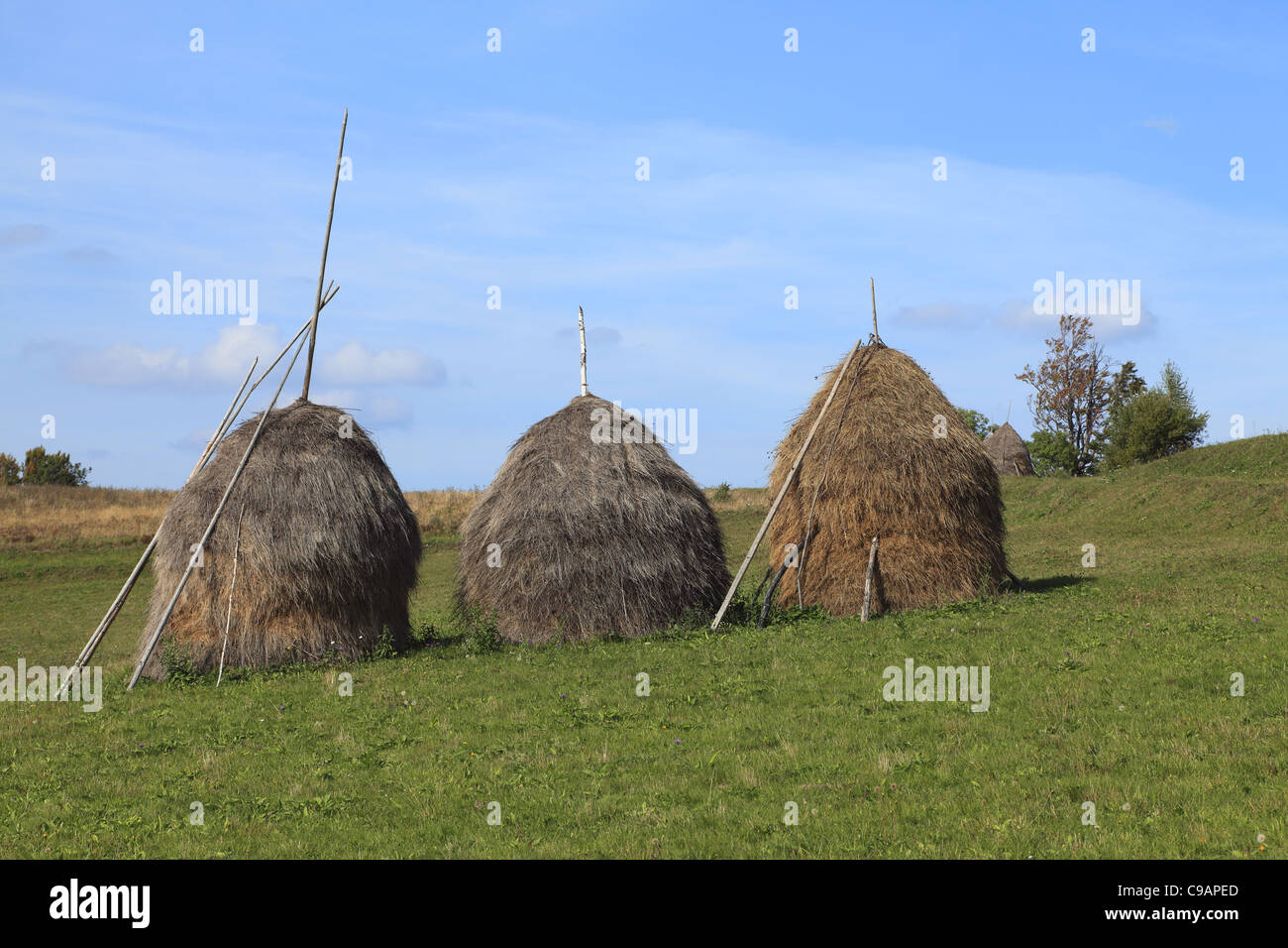 Landscape with three hayricks. Stock Photo