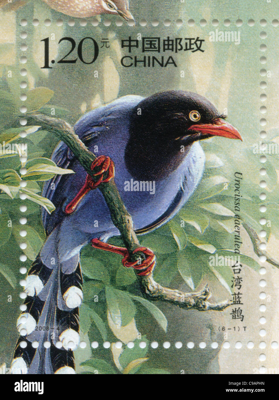 China postage stamp - Taiwan Blue Magpie Stock Photo