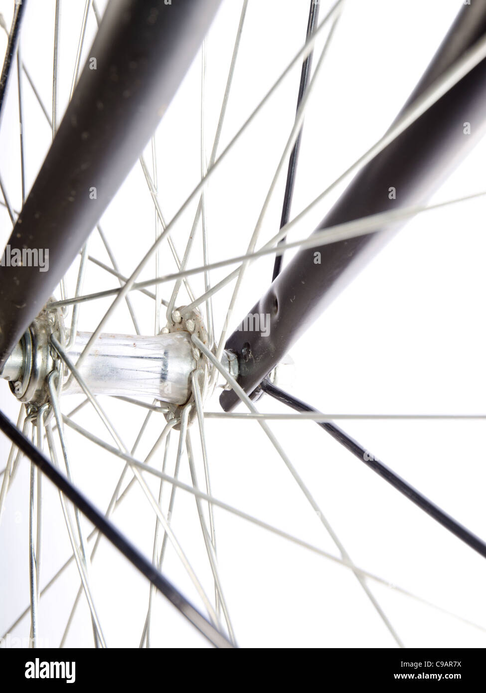 bicycle detailing near me