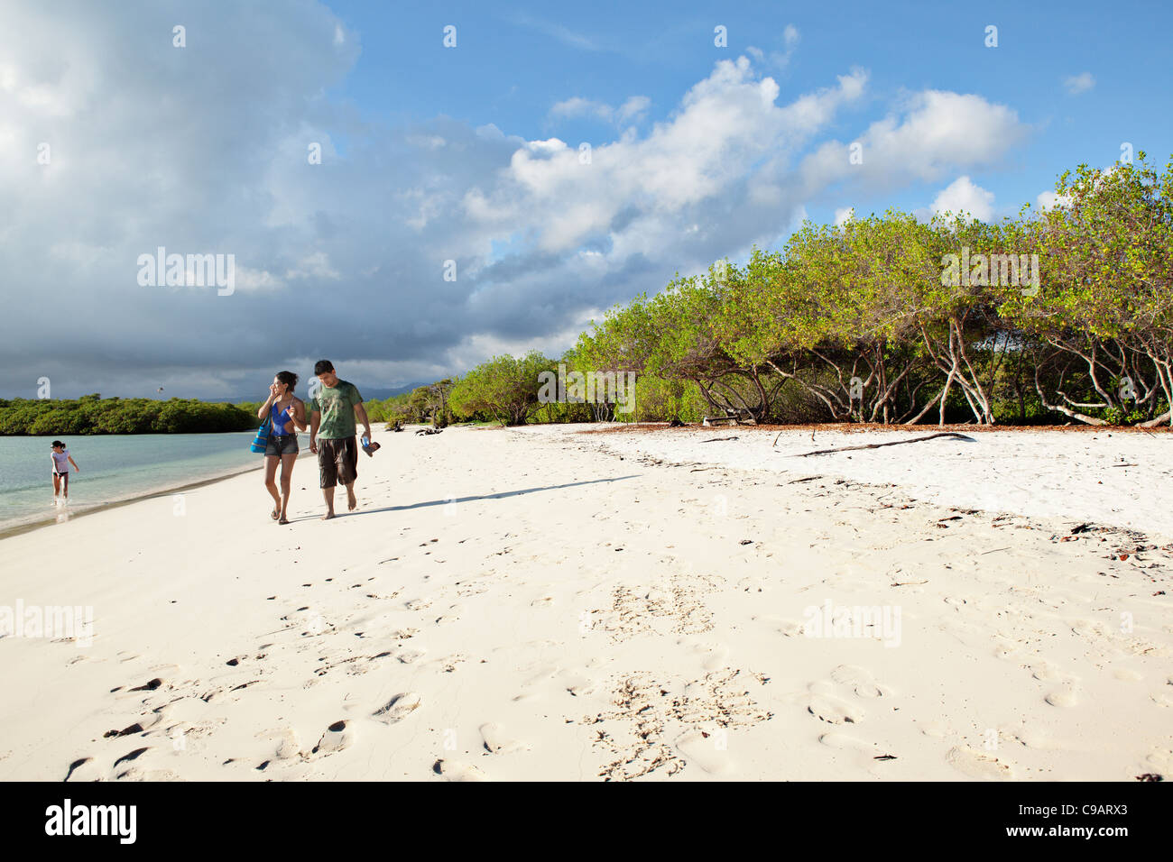 Tortuga Beach on Santa Cruz island, Galapagos, Ecuador. Stock Photo