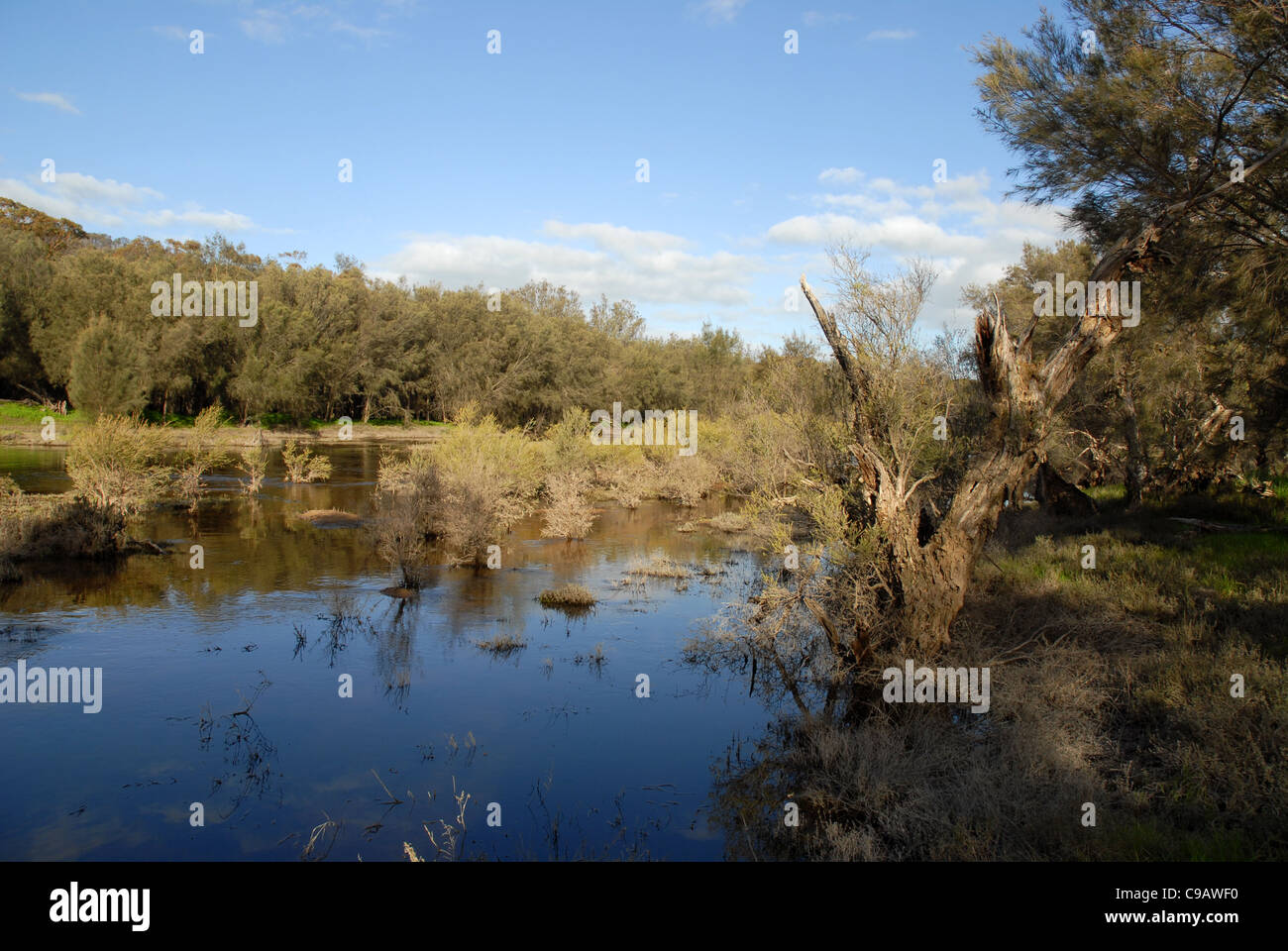 Avon River, Avon Valley, near York, Western Australia, Australia Stock Photo