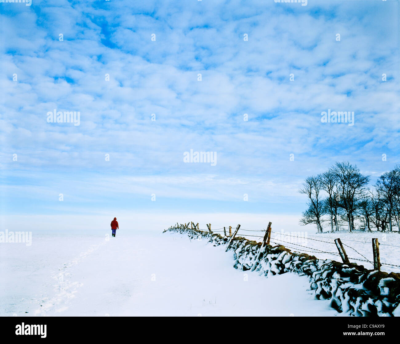 Lone figure walking in deep snow drifts near Parsley Hay Derbyshire Peak District national Park England UK GB Europe Stock Photo