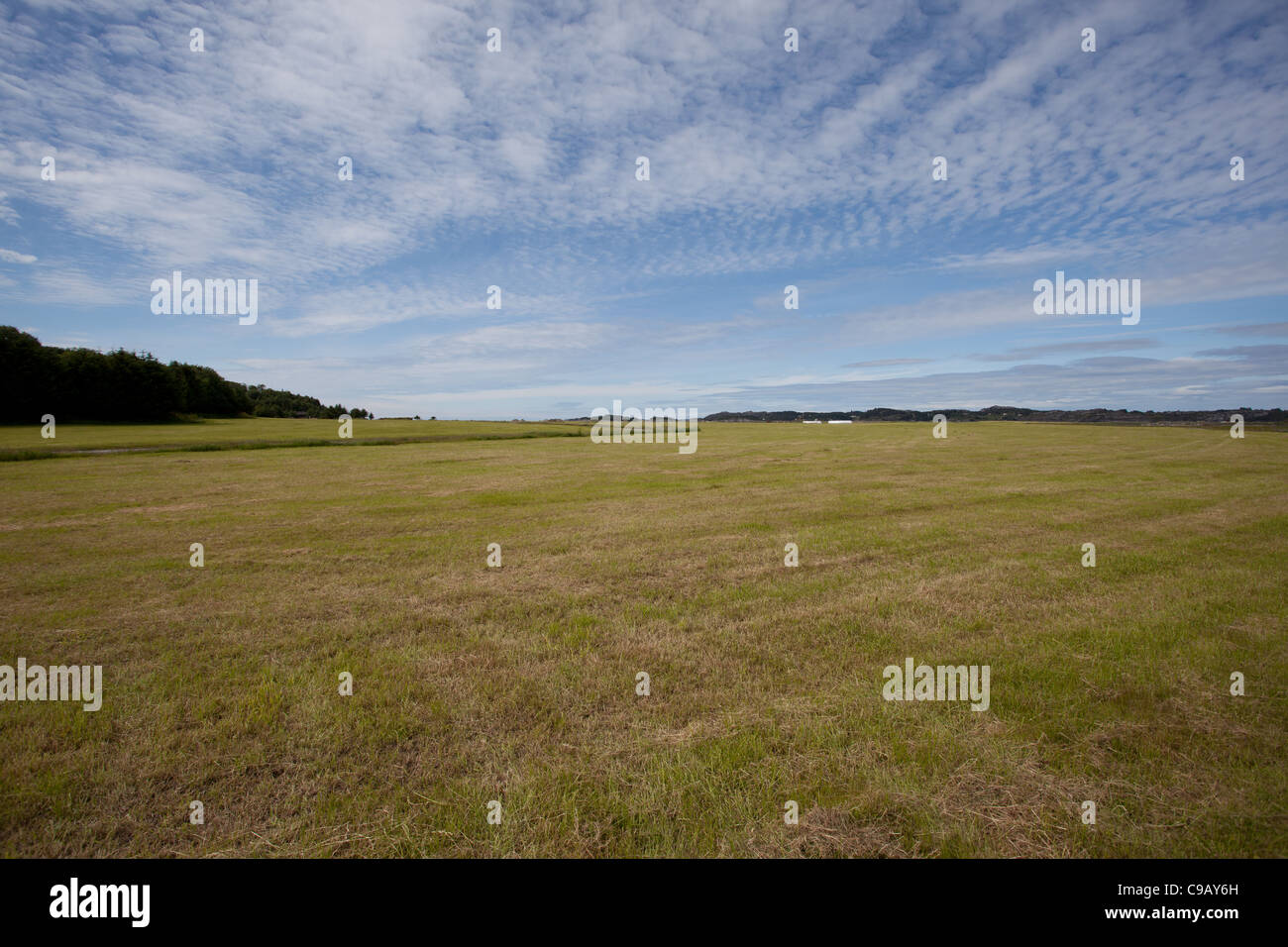 A field somewhere outside the city of Bergen, Norway. Stock Photo