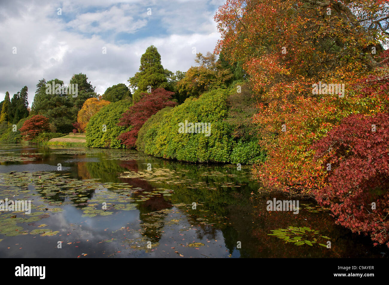 Autumn colours Sheffield Park East Sussex England Stock Photo - Alamy