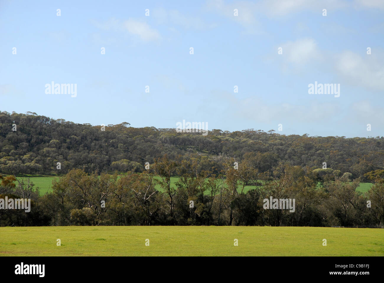 farmland & paddocks, Avon Valley, near York, Western Australia, Australia Stock Photo