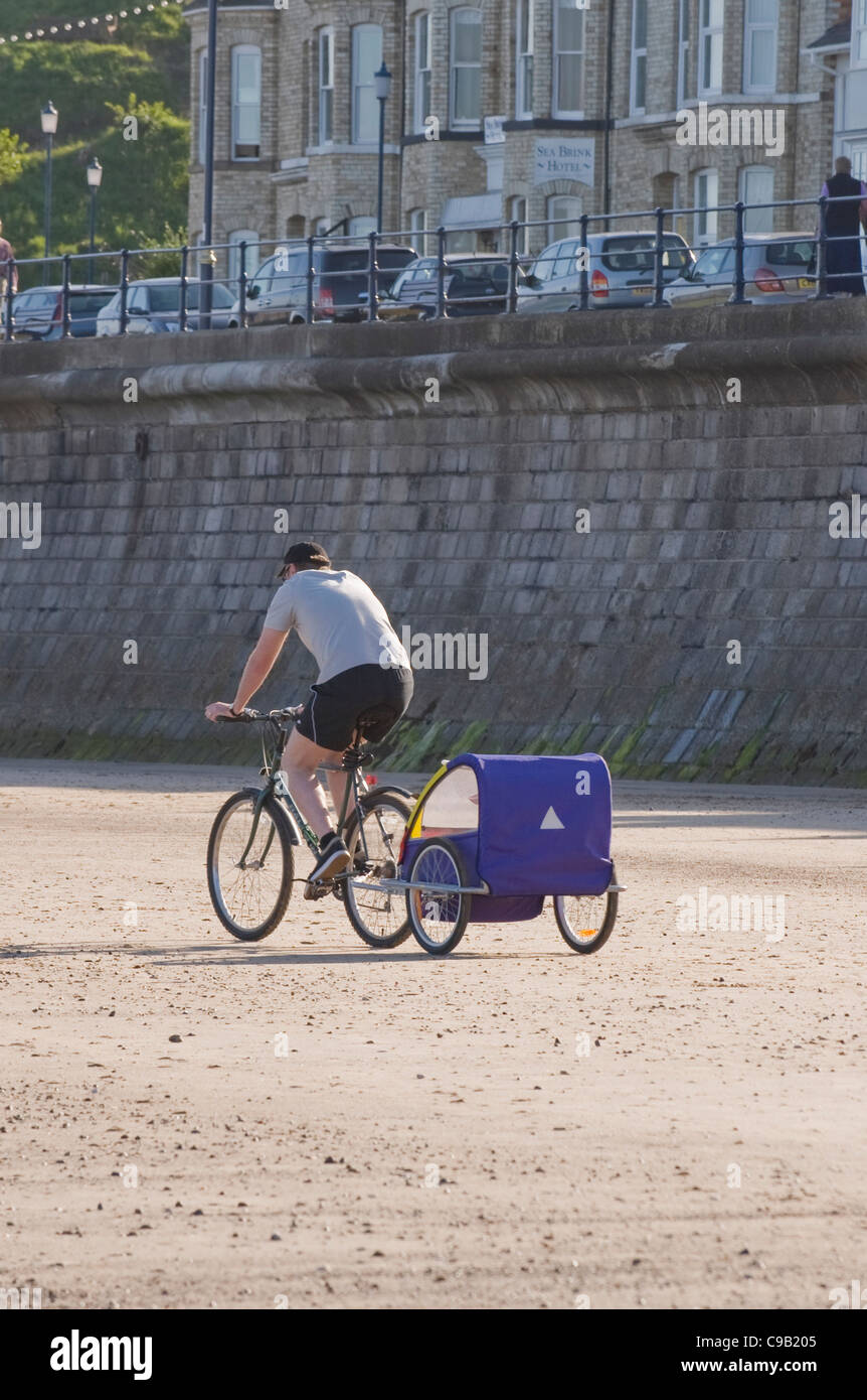 beach bike trailer